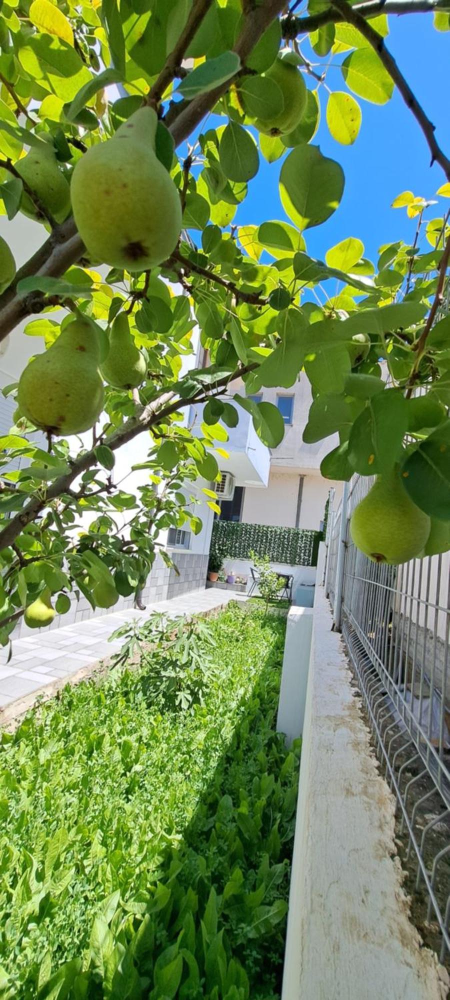 Villa Likaj Berat Szoba fotó